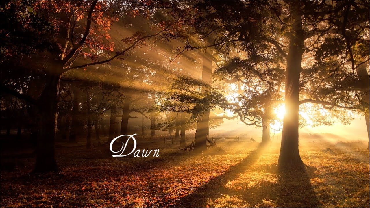 Watch Dawn on YouTube Watch Dawn on YouTube