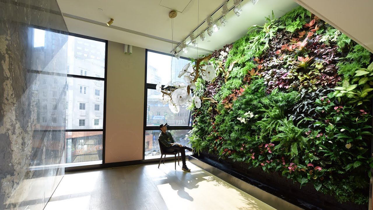 Meet The Chinese Creator Of Living Walls