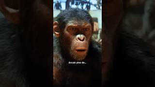 Maymunlar Cehennemi 4 İzlemeden Önce Bilmeniz Gereken İlginç Detay