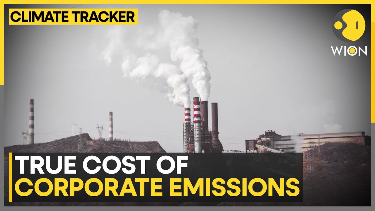 Scientists Can Now Calculate The Economic Cost Of Climate Change | WION ...