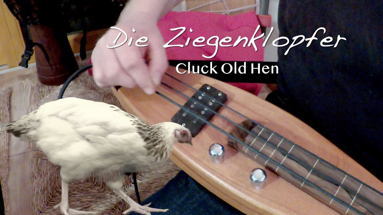 Cluck Old Hen . Die Ziegenklopfer im Dulcimershop