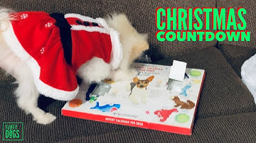 Dog Advent Calendar Christmas Countdown