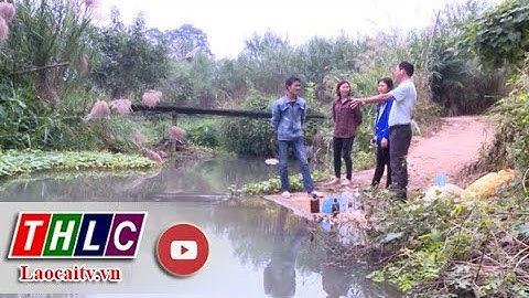 Cần kiểm soát nguồn nước thải từ chăn nuôi| THLC