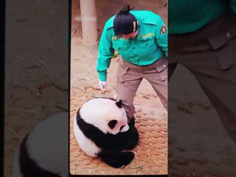 والنبي هات جنيه