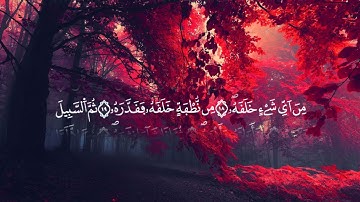 Salem Alrwiliy - Sourate  Abasa | سالم الرويلي - سورة عبس