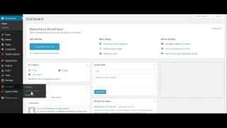 DIgnity - Portfolio Type Video With Info