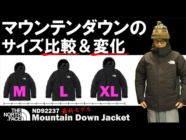 THE NORTH FACE マウンテンダウンジャケット　Lサイズ