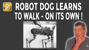 Robot Dog Learns To Walk In An Hour After Scientists Build ‘Virtual Spinal Cord’