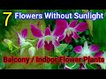 Beautiful Indoor Flowering Plants Names - Care Tips, Fertilizer _ Balcony Flowering Plants Name