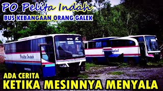 AKAN DATANG BERSAMA HARJAY‼️ PERGINYA PO PELITA INDAH SANG LEGENDA DARI TRENGGALEK