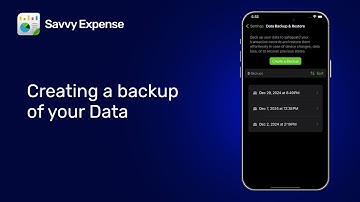How to Back Up Your Transaction Data in Savvy Expense | Step-by-Step Guide