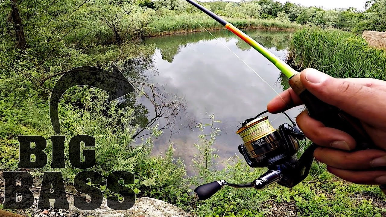 Bass Periodo Pesca Al Black Bass Periodo Pesca Al Black