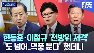 한동훈·이철규 '전방위 저격' 