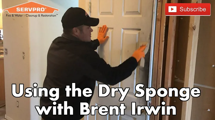 Using the Dry "Chemical/Soot" Sponge with Brent Ir...