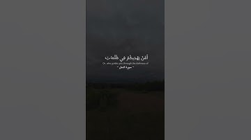 ﴿ أَمَّنْ يُجِيبُ الْمُضْطَرَّ إِذَا دَعَاهُ ﴾ 🥹🥀 القارئ/ محمد ديبيروف [النمل: ٦٢]