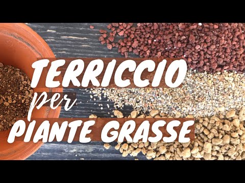 Video: Terreno Per Piante Grasse: Che Tipo Di Terreno è Necessario E Come Preparare La Composizione Con Le Proprie Mani? Come Piantare Piante Grasse A Casa Nel Substrato Di Cocco?