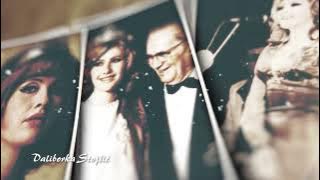 Daliborka Stojšić  - My way - Frank Sinatra | Monica Bejenaru | cover