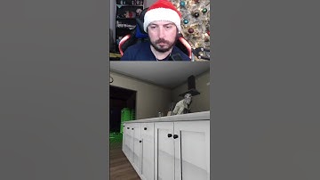 Can YOU Guess This Ghost?