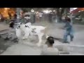 Bachra Bhag gaya Unloading cow.