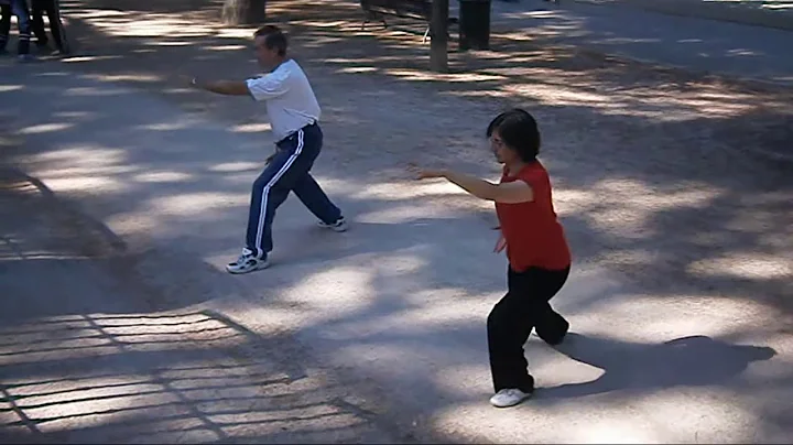 Forma de TaiChi estilo Chen  36 MOVIMIENTOS de Tia...