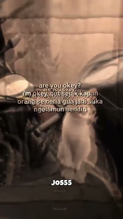 storyy bangett