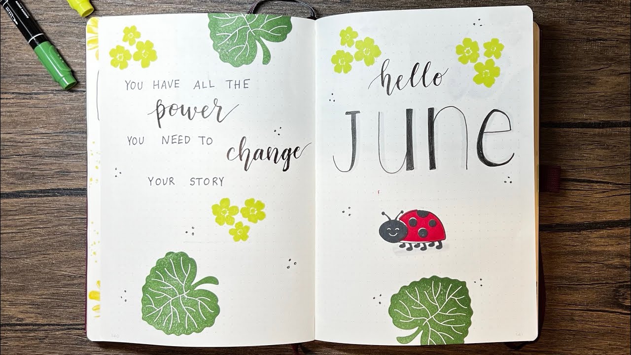 June Ladybug Bullet Journal Plan With Me 2023 - YouTube