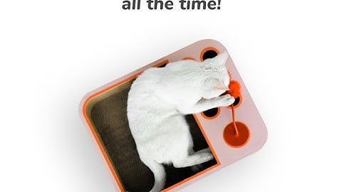 Cheerble Board Game - Keep your cat happy | All-in-one interactive toy for cats. | cat toys