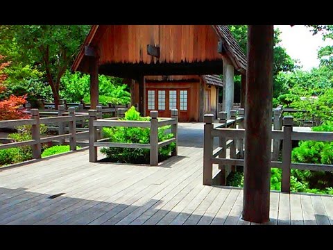 What Does Japan Look Like ?