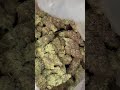 THCA Pounds Wholesale | Master Distributor Pricing Unboxing USA