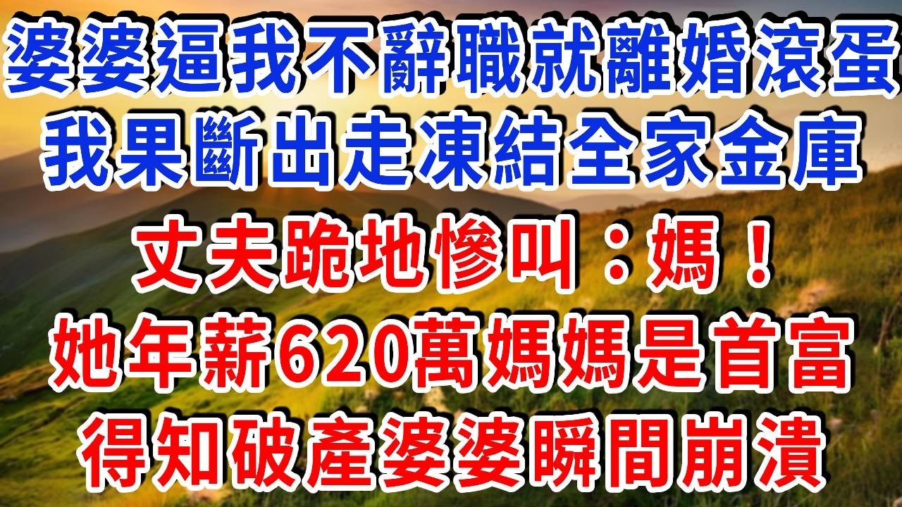 婆婆逼我二選一：不辭職就滾！我果斷離婚凍結全家金庫，丈夫跪地慘叫：媽，她媽是世界首富，咱們破產了！#書婷講故事 #為人處世#生活經驗#情感故事#晚年哲理#說故事#完結文