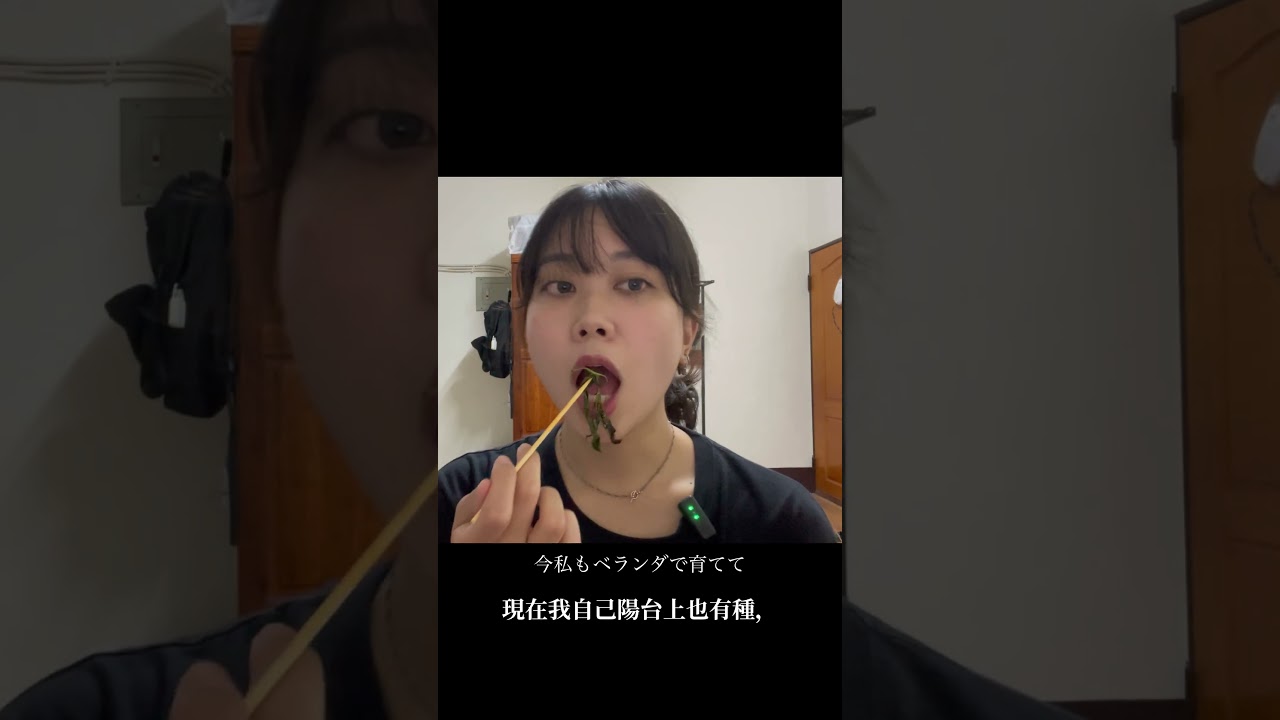 住在台灣的日本女生,一個人喝台啤配鹹酥雞🍺🍗 #vlog #food #小吃 #日本女生 縮圖