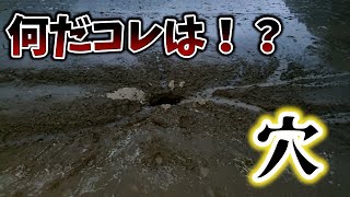 代掻き後の田んぼに大きな穴が空いた・・・