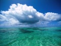 سورة النور    الشيخ وليد عاطف