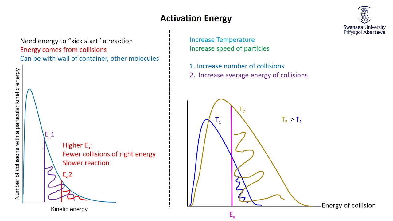 Foundation Rate of Reaction 3 Atomic Level YouTube