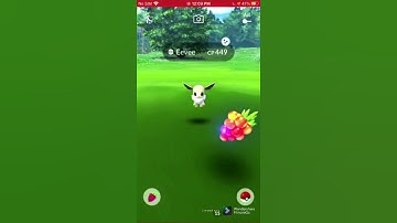 Shiny Eevee!! (Jump start research)