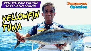 Rekod Peribadi Yellowfin Tuna #sempornajigging #daiwabgsw2023