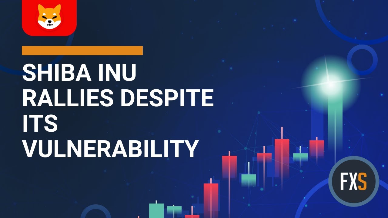 Shiba Inu price rallies despite its vulnerability