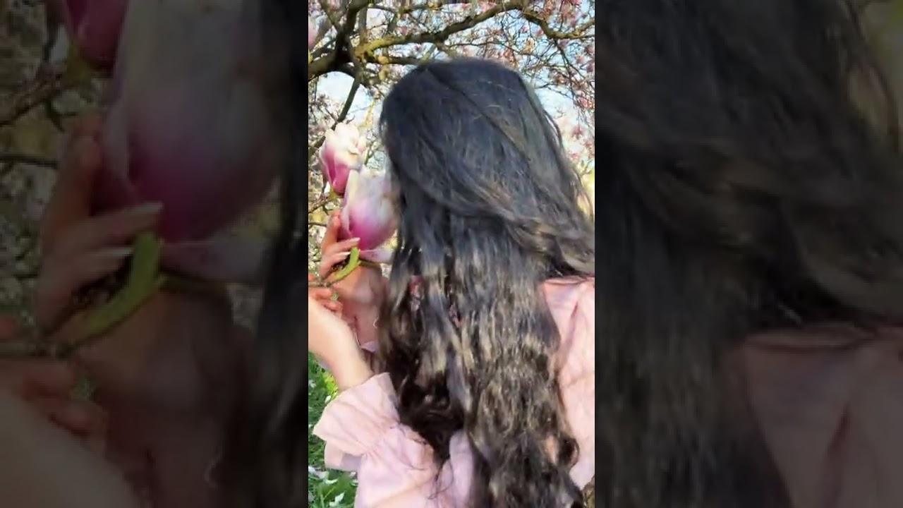 Красавица 😍 Магнолия