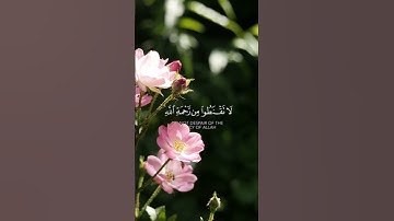 ۞ قُلْ يَا عِبَادِيَ الَّذِينَ أَسْرَفُوا عَلَىٰ أَنفُسِهِمْ... #سورة_الزمر #بيشة_قادر_الكردي
