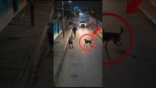 Everyone Thought the Dog Was Warning about Him...Then THIS Happened...😱