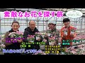 【素敵なお花を探す旅♪】関東の生産者をまわって 素敵なお花をGETしてきました♪【シャンドの花散歩】