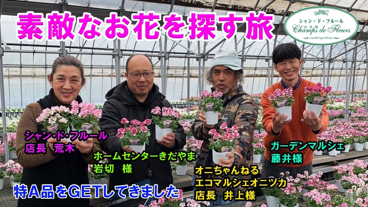 【素敵なお花を探す旅♪】関東の生産者をまわって 素敵なお花をGETしてきました♪【シャンドの花散歩】