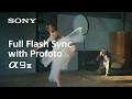 Alpha 9 III | Full flash synchronisation with Profoto flashes | Sony | α
