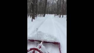 happy trails grooming