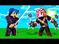 SIAMO DIVENTATI DEI NINJA! - MINECRAFT