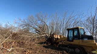 Cat 953C Pushing Out Trees!!