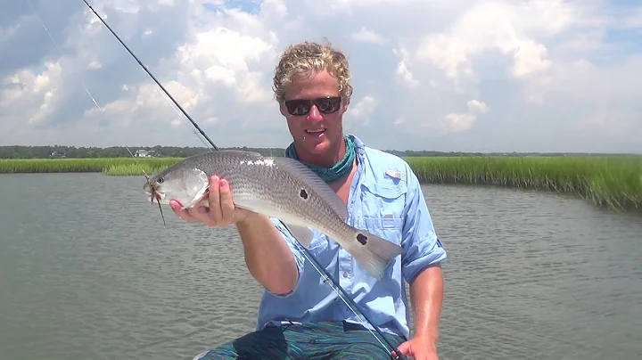 NC Tailing Reds and Marsh Hens