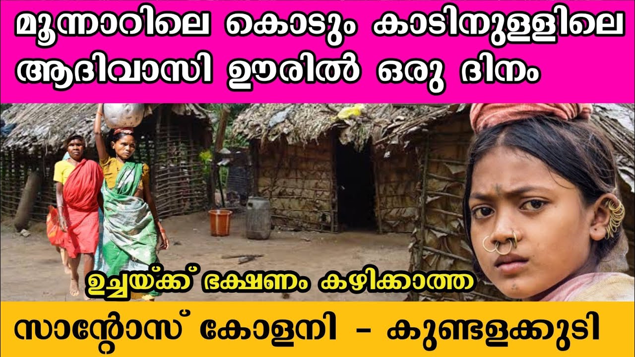 മൂന്നാർ കുണ്ടളക്കുടി സാന്റോസ് കോളനി | munnar | santos colony | Tribal village | Munnar vlog