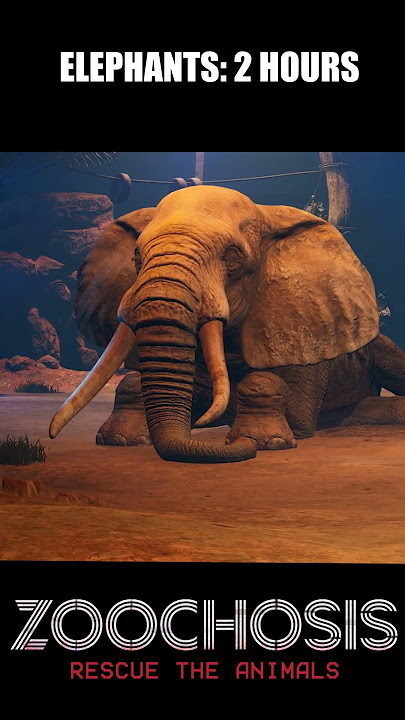 WHICH SLEEPING ANIMAL ARE YOU? 🦍🦒🐘🦛 (HOPEFULLY NOT AN ELEPHANT! 😄) #Zoochosisgame