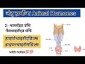 Thyroid and parathyroid gland। अंतः स्रावी ग्रंथि तथा  स्रावित हार्मोन। थायराइड/पैराथॉइरॉएड ग्रंथि